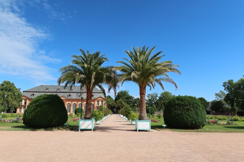 Kiesweg mit Palmen in Kübeln und Formschnitt-Büschen, im Hintergrund das Orangeriegebäude in Bessungen