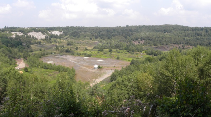 Blick vom Südrand über die Grube Messel mit bewaldeten Hängen und der Grabungsfläche im Talgrund