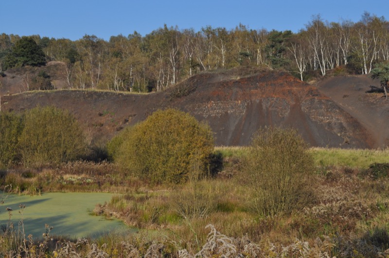 Ölschiefer-Abbruchkante und Wasserfläche am Grund der Grube Messel im Herbst
