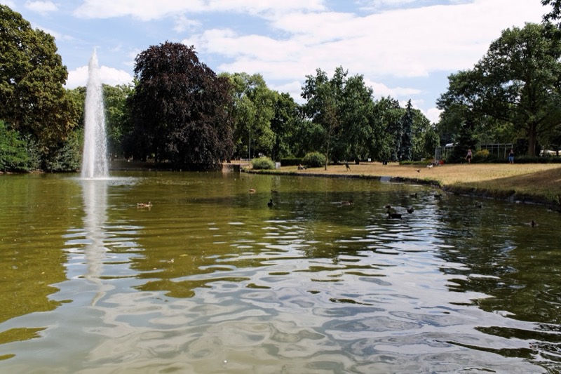 Teich mit Wasserfontäne im Herrngarten Darmstadt, umgeben von alten Bäumen