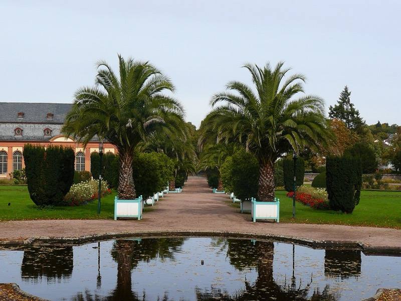 Palmenallee mit Wasserbecken im Orangeriegarten Darmstadt